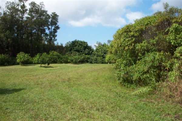 13 A Ala'Ili Road Pahoa, HI 96778 - Photo 9 of 9 Gallery Image 9