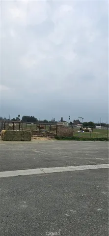 a view of a rural road with plants