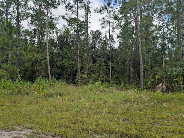 a view of outdoor space and green space