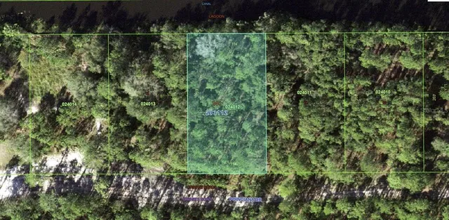 a view of a garden with plants