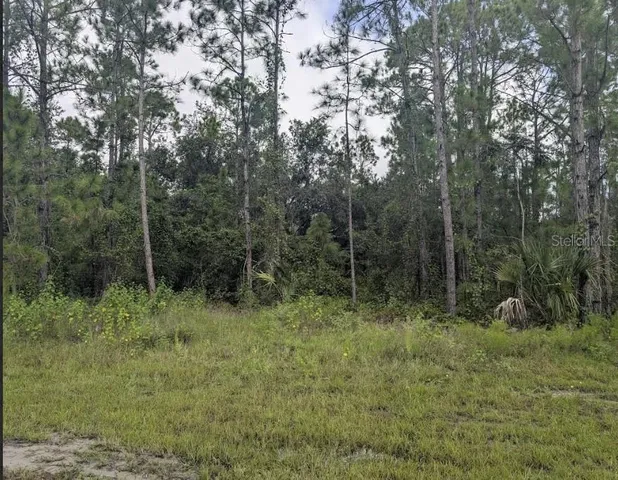 a view of a lake with a yard