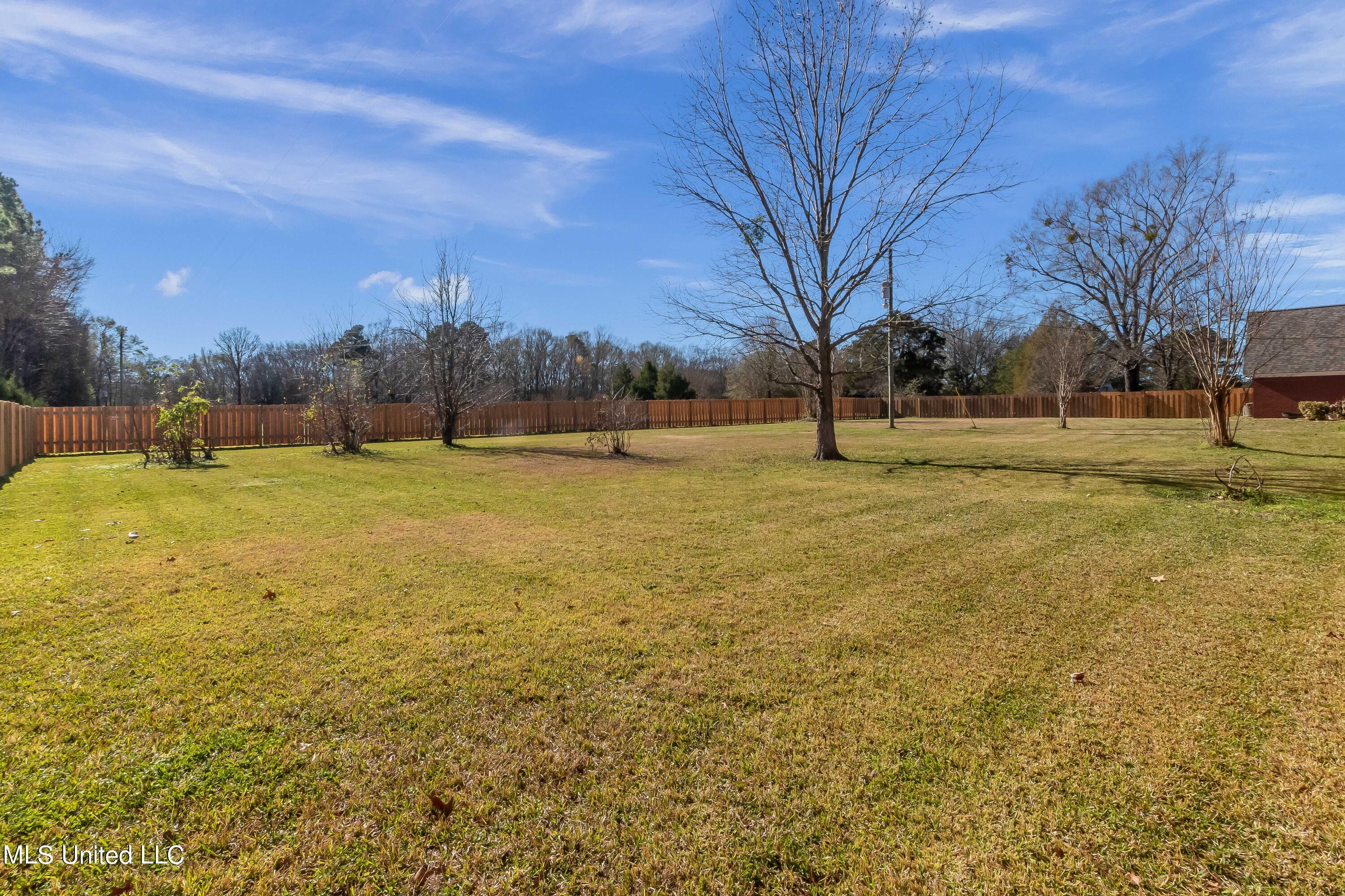 230 Oakdale Road Brandon, MS 39047 - Photo 27 of 30 230 Oakdale-24