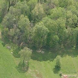 Vacant Pingree Road Howell, MI 48843 - Photo 3 of 7 pingree p2.jpg