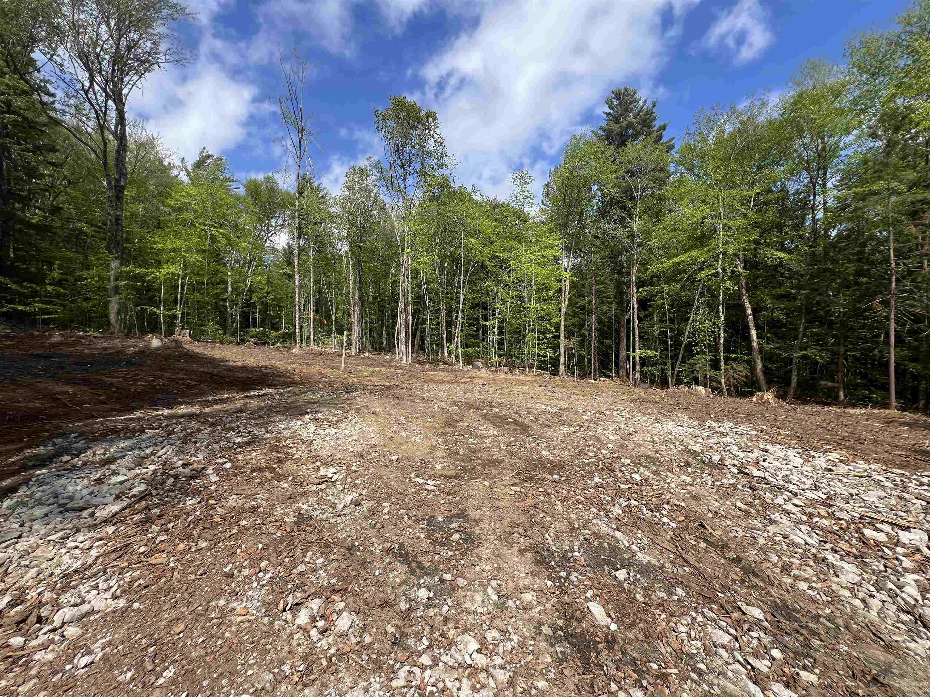 170 Maple Drive Wardsboro, VT 05360 - Photo 8 of 26