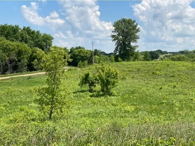 $37,500 | Lot C 113th Street, Ashby, MN 56309