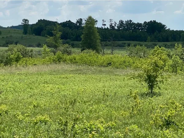 $37,500 | Lot C 113th Street, Ashby, MN 56309