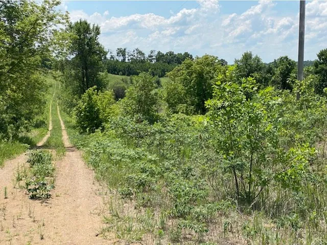 $37,500 | Lot C 113th Street, Ashby, MN 56309