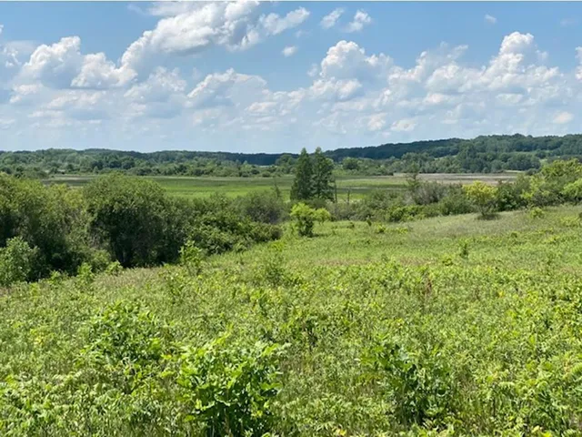 $37,500 | Lot C 113th Street, Ashby, MN 56309