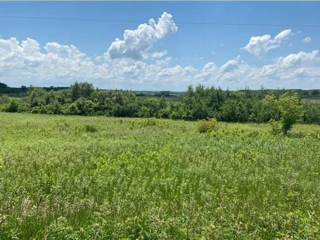 $37,500 | Lot C 113th Street, Ashby, MN 56309