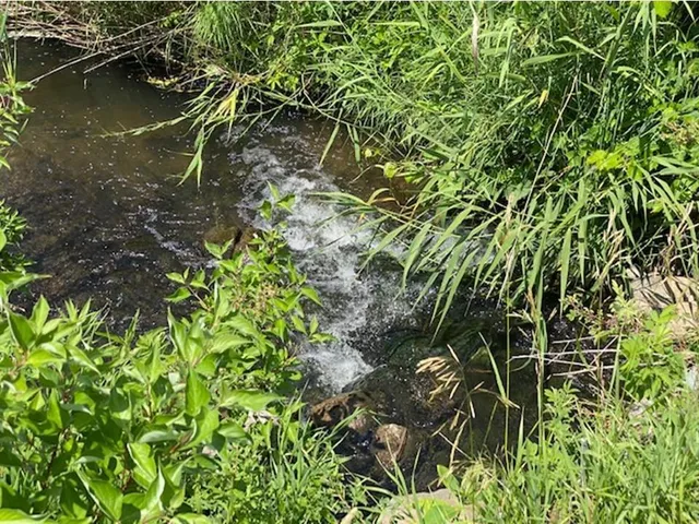 $37,500 | Lot C 113th Street, Ashby, MN 56309