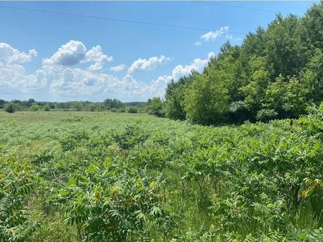$37,500 | Lot C 113th Street, Ashby, MN 56309