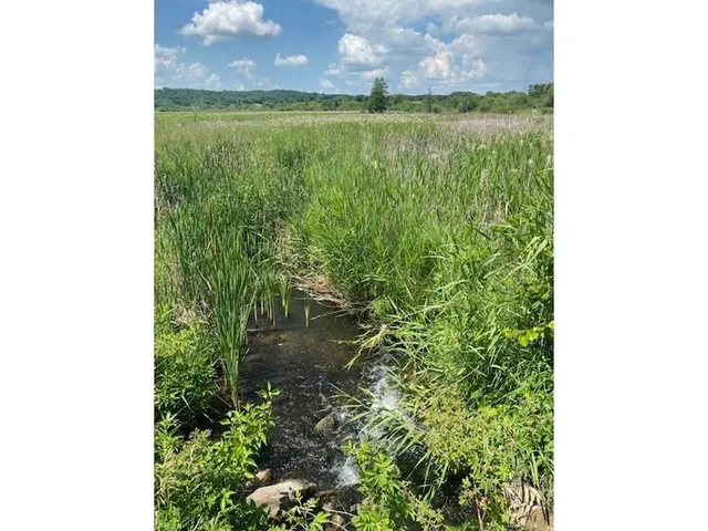 $37,500 | Lot C 113th Street, Ashby, MN 56309