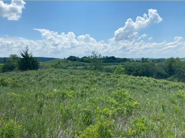 $37,500 | Lot C 113th Street, Ashby, MN 56309