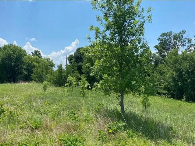 $37,500 | Lot C 113th Street, Ashby, MN 56309