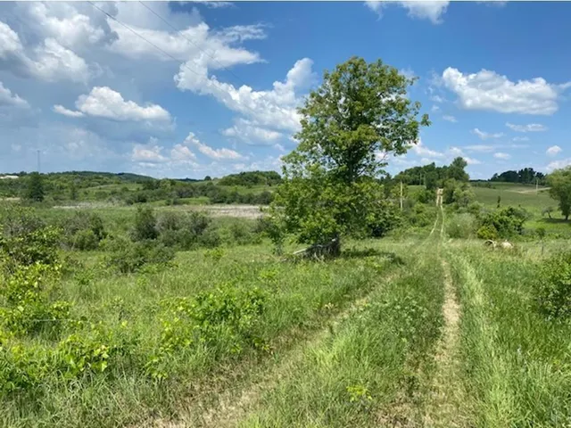 $37,500 | Lot C 113th Street, Ashby, MN 56309