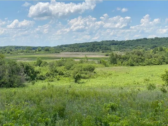 $37,500 | Lot C 113th Street, Ashby, MN 56309