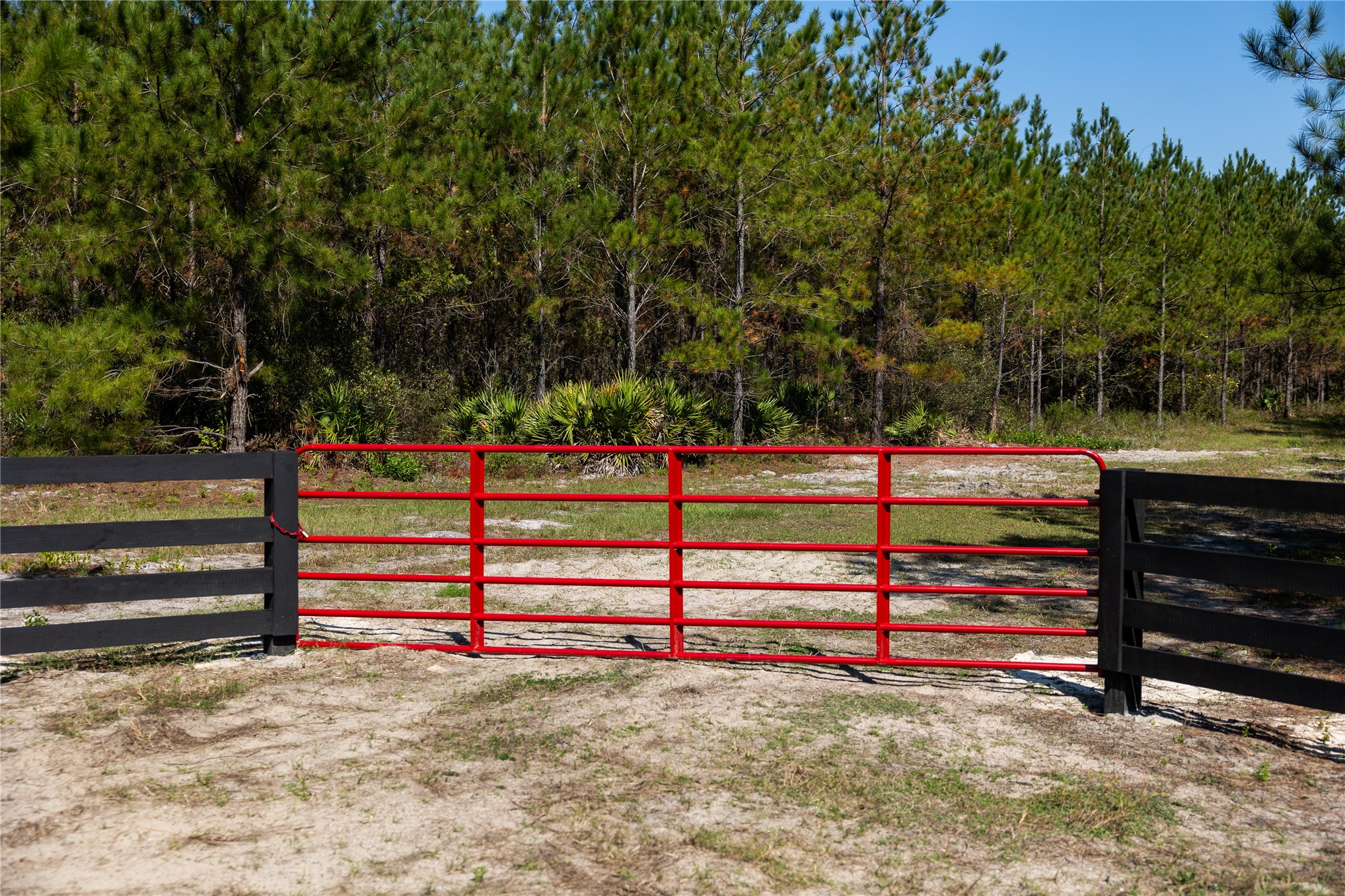 0 Highway 301 Callahan, FL 32011 - Photo 2 of 7 a view of a yard with wooden fence