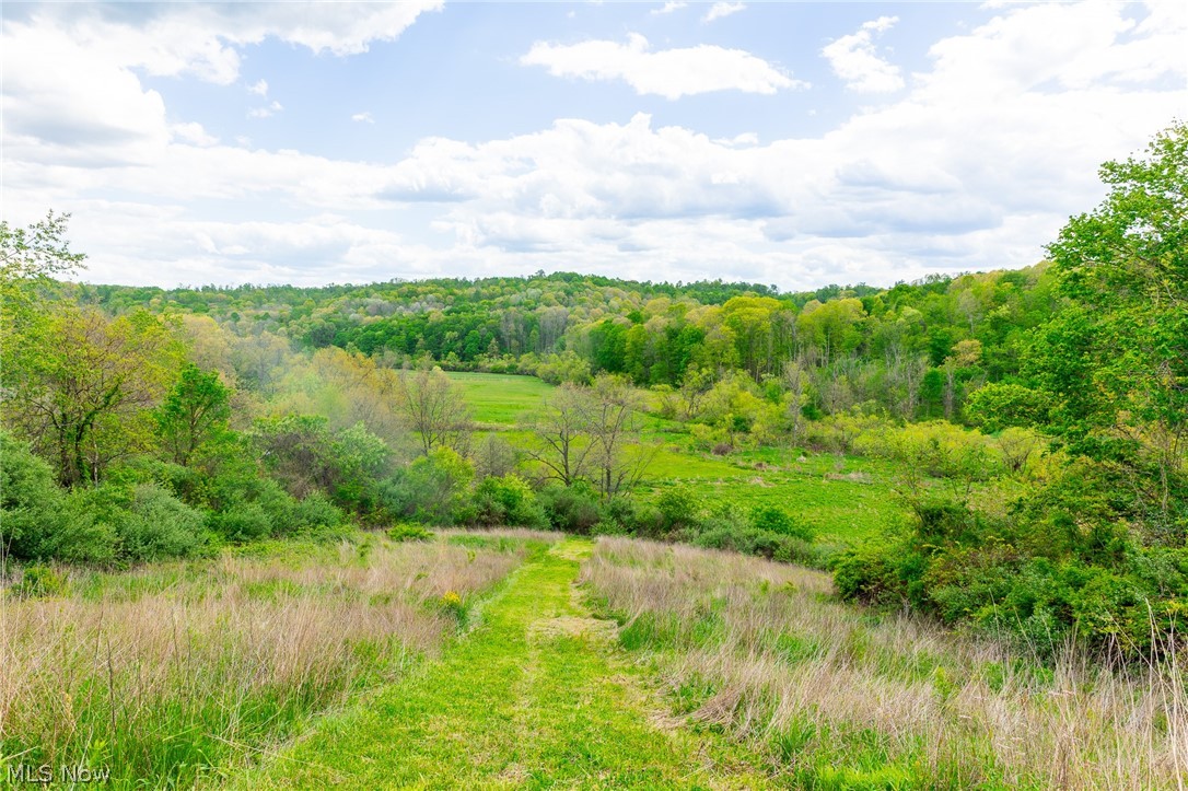 69800 Skull Fork Road Freeport, OH 43973 - Photo 41 of 50