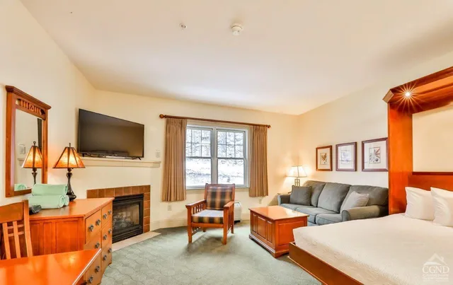 a living room with furniture a flat screen tv and a fireplace