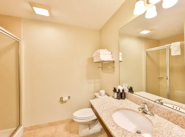 a bathroom with a granite countertop sink a toilet and a mirror