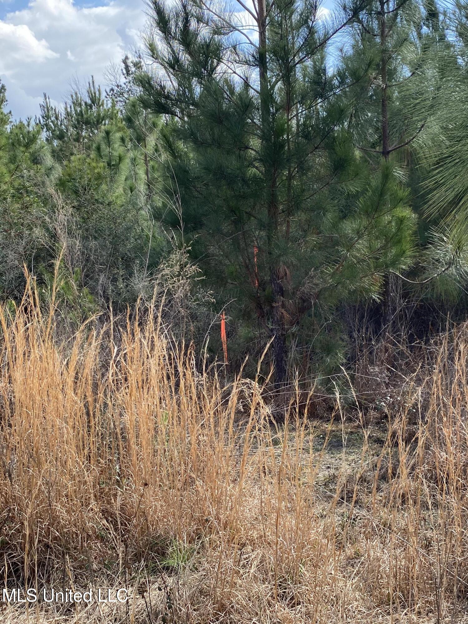 12 Willie Mae Pitts Road Richton, MS 39476 - Photo 2 of 10 006