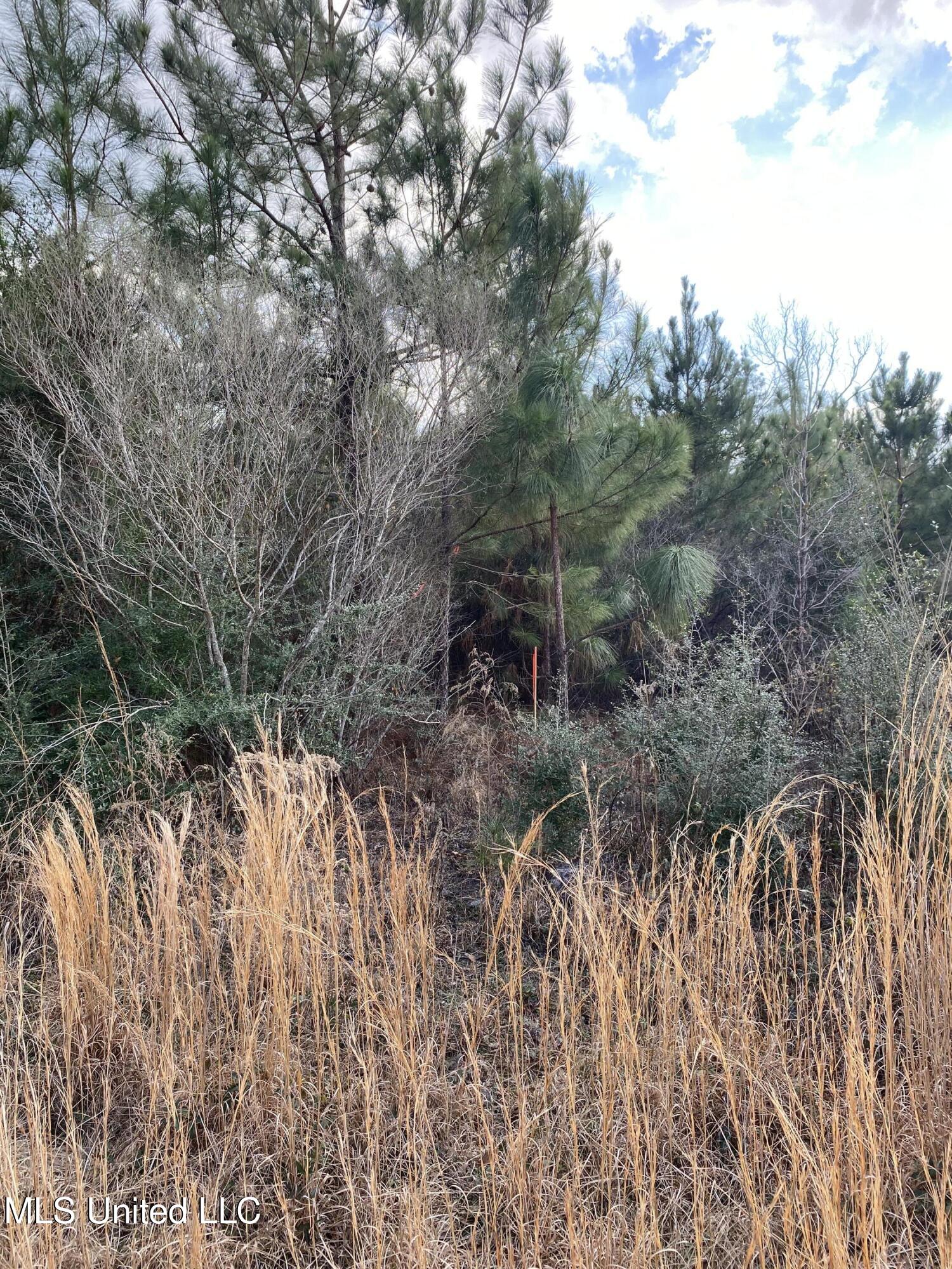 12 Willie Mae Pitts Road Richton, MS 39476 - Photo 3 of 10 008