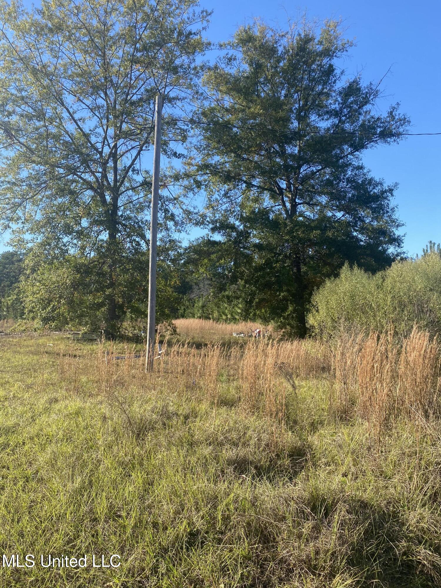 12 Willie Mae Pitts Road Richton, MS 39476 - Photo 6 of 10 Front2 Willie