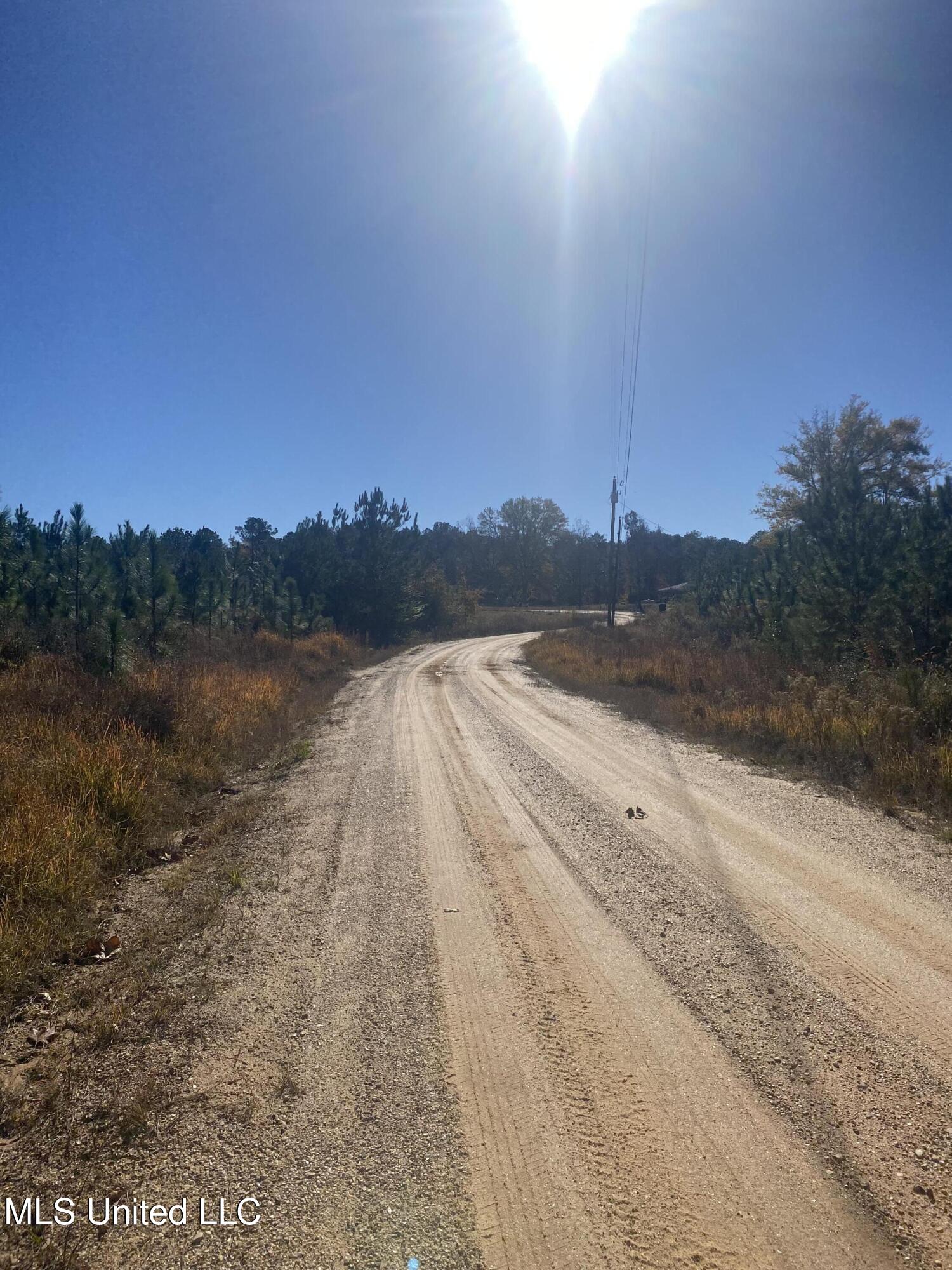 12 Willie Mae Pitts Road Richton, MS 39476 - Photo 7 of 10 Left Willie