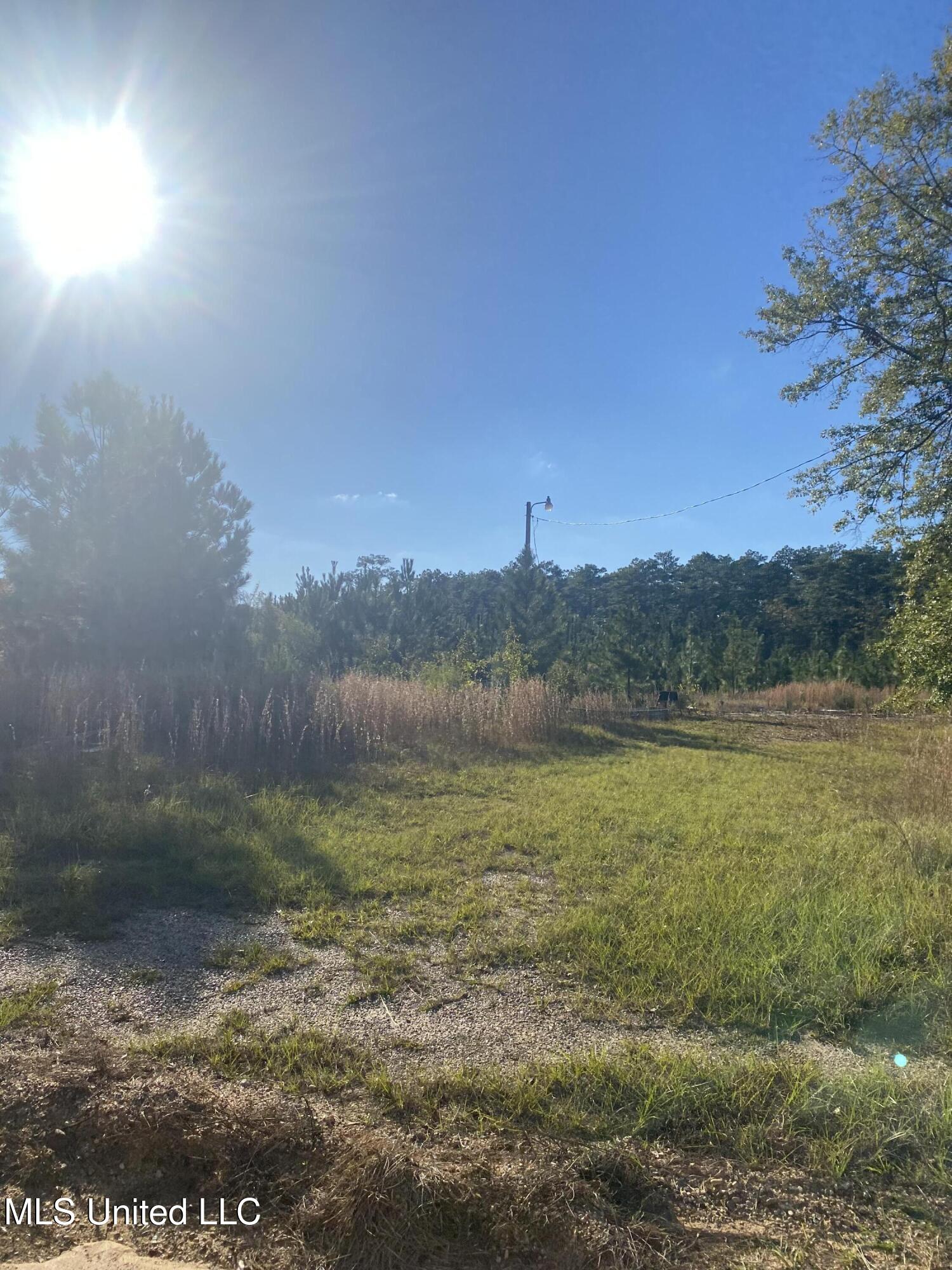 12 Willie Mae Pitts Road Richton, MS 39476 - Photo 8 of 10 Left Willie