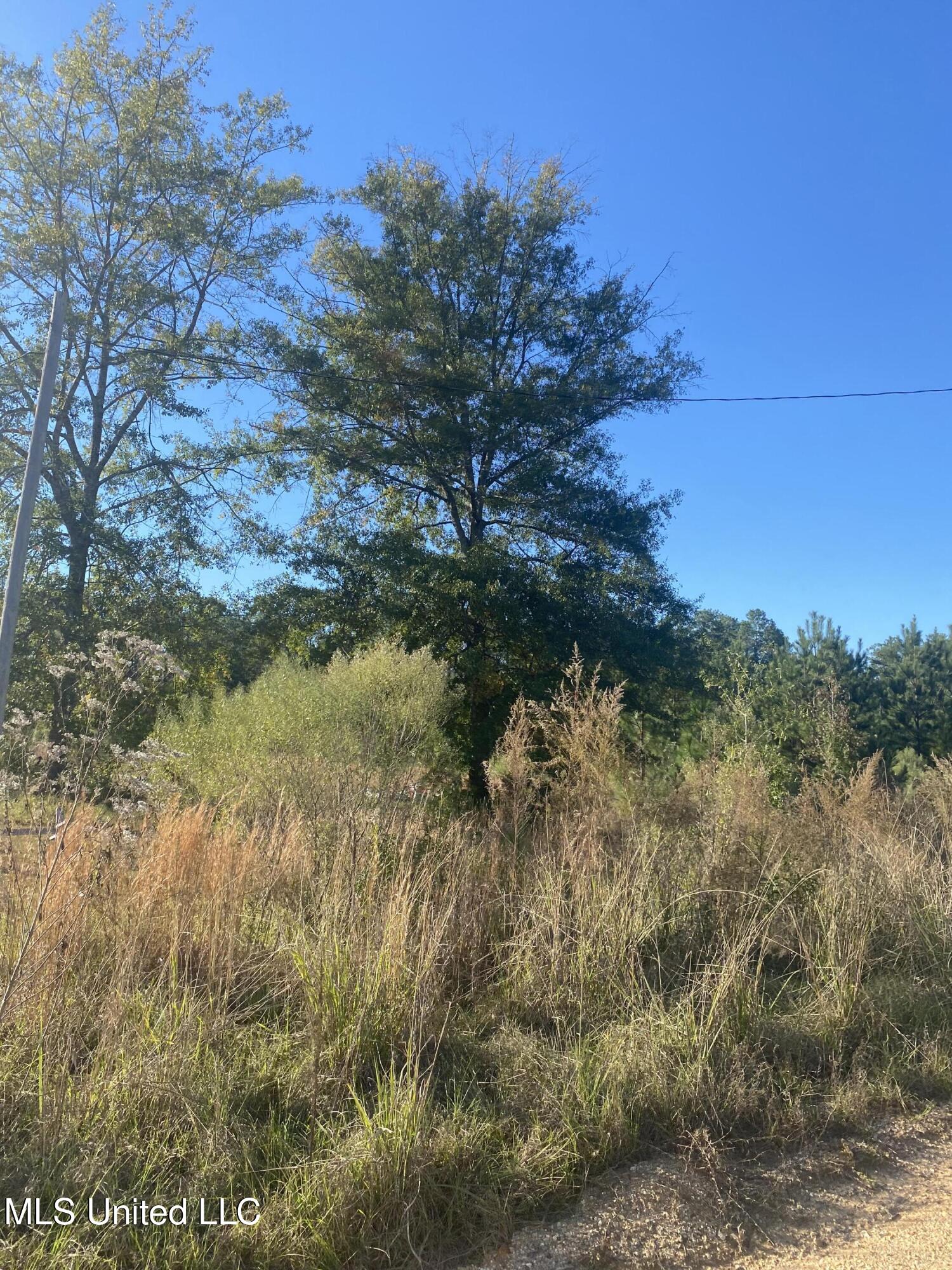 12 Willie Mae Pitts Road Richton, MS 39476 - Photo 9 of 10 Right Wllie