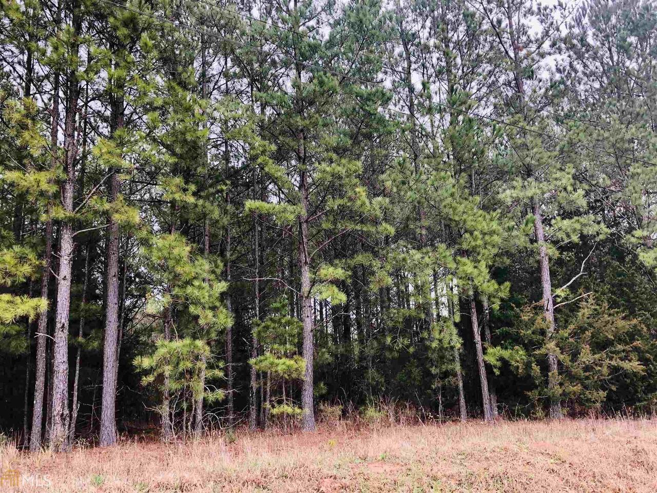 0 Howell Road Zebulon, GA 30295 - Photo 1 of 1
