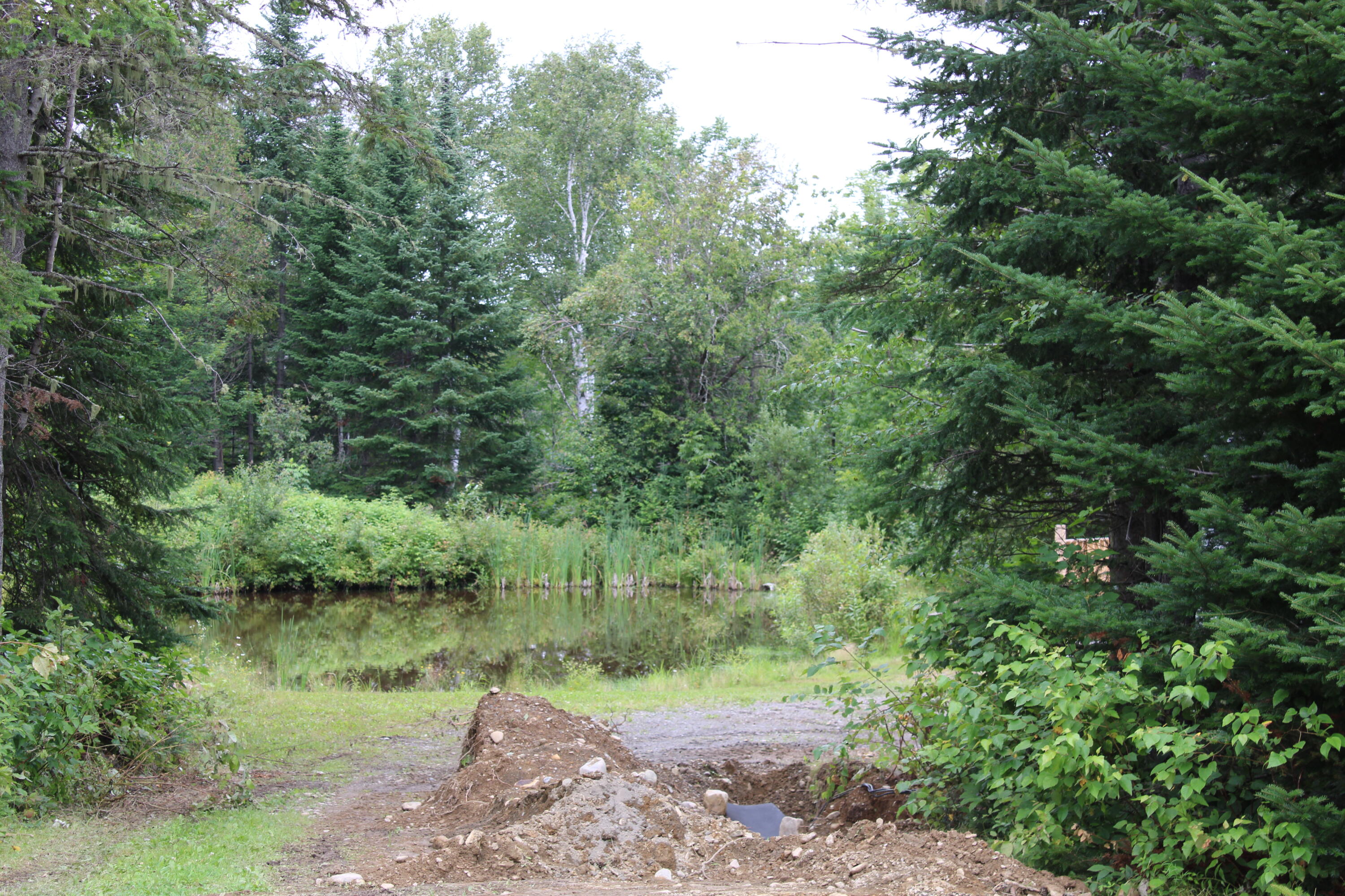 231 Grivois Road Grand Isle, ME 04746 - Photo 20 of 116 IMG_0244