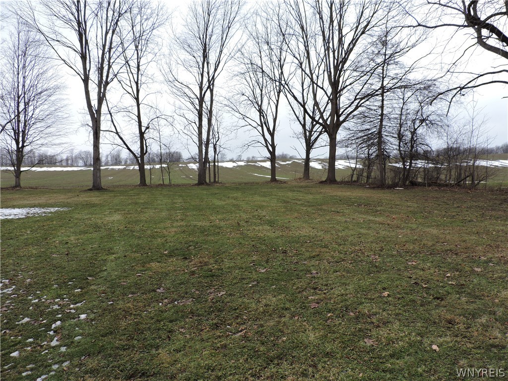 10209 Broadway Road Persia, NY 14070 - Photo 43 of 50