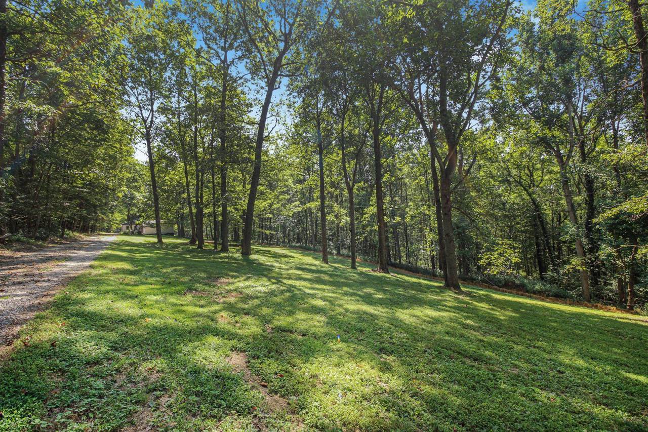 1285 Maxey Knob Road Canmer, KY 42722 - Photo 13 of 32 Gallery Image 13