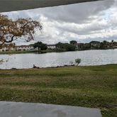 a view of a lake from a yard