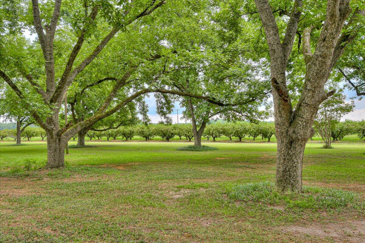 30 Beech Crk Road Johnston, SC 29832 - Photo 61 of 65