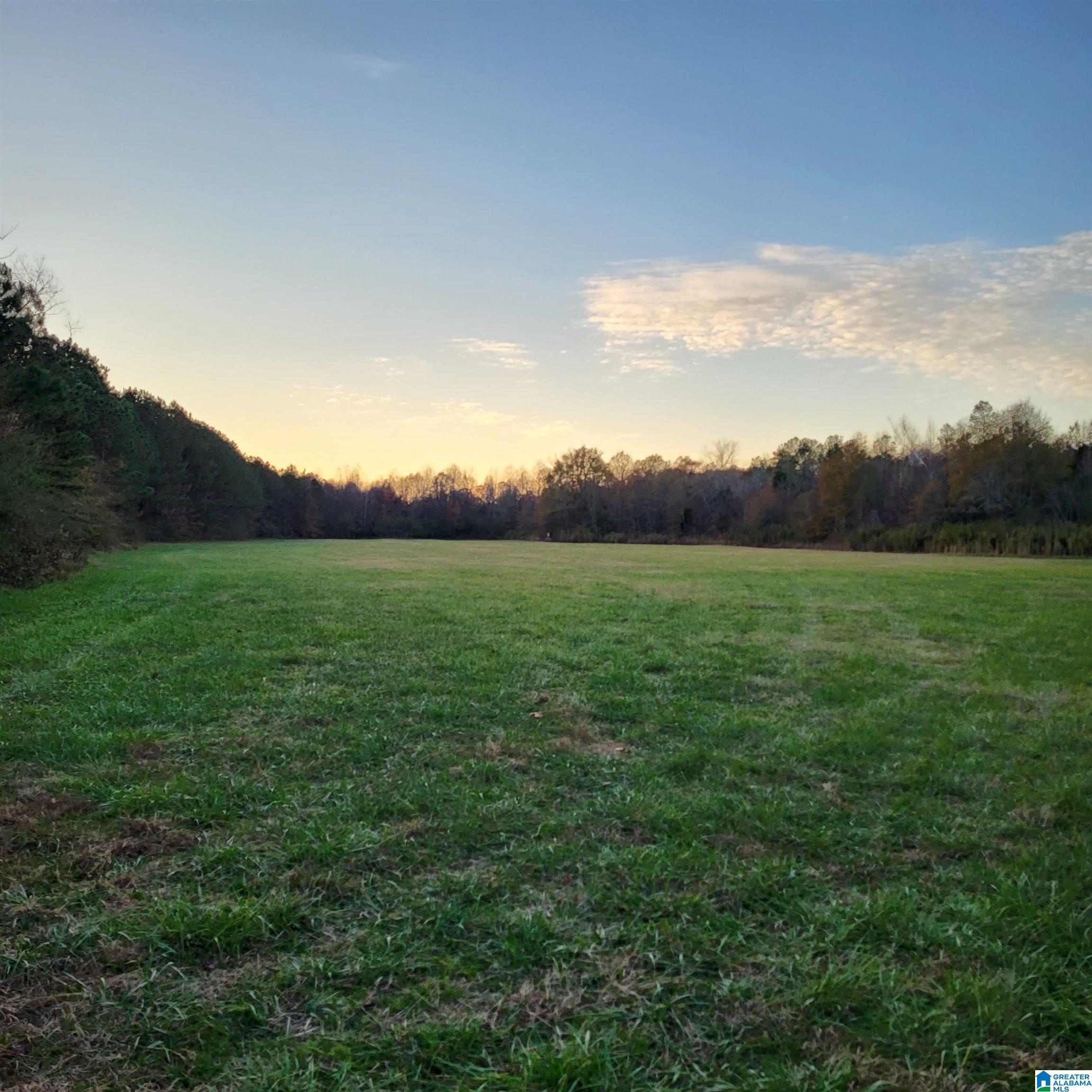 0 Nisbet Lake Road Jacksonville, AL 36265 - Photo 2 of 9