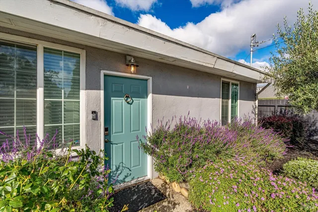 a green field with potted plants in front of door