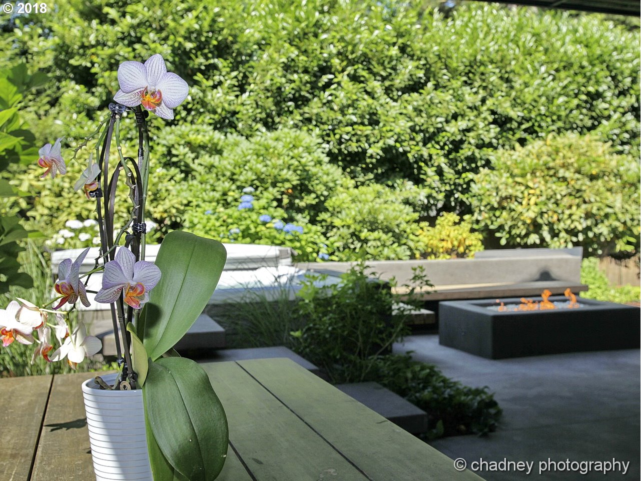6215 Southwest Jan Tree Court Portland, OR 97219 - Photo 32 of 32 Gallery Image 32