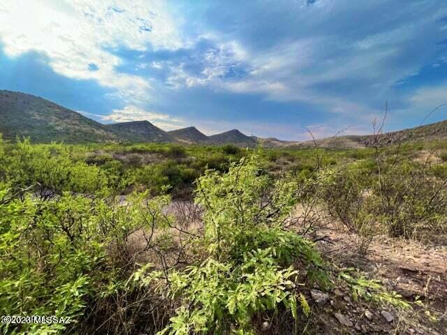 Perilla Perilla Mountain Ranch Douglas, AZ 85607 - Photo 6 of 21 Gallery Image 6