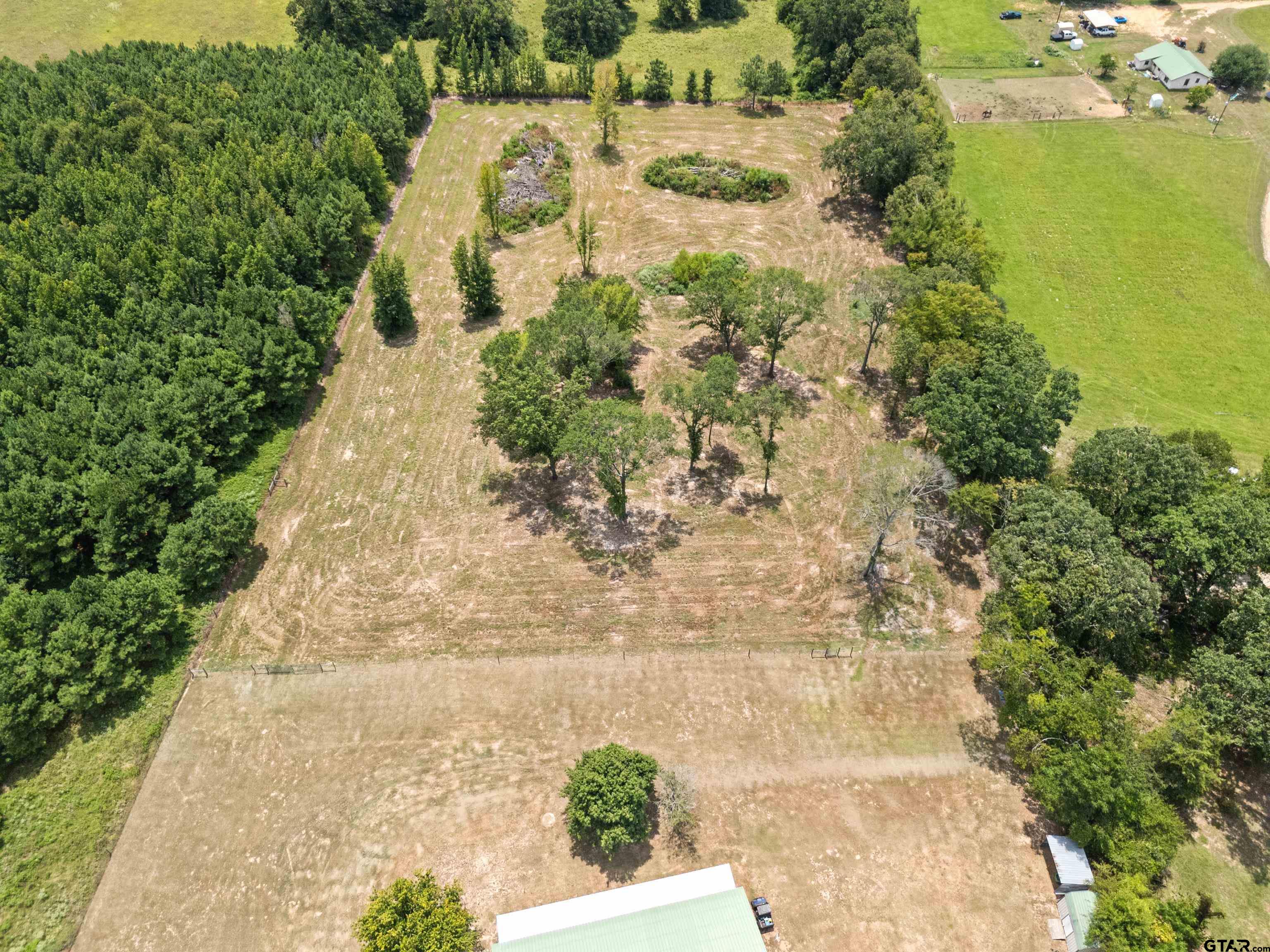 423 County Road 4306 Naples, TX 75568 - Photo 10 of 47 a view of yard