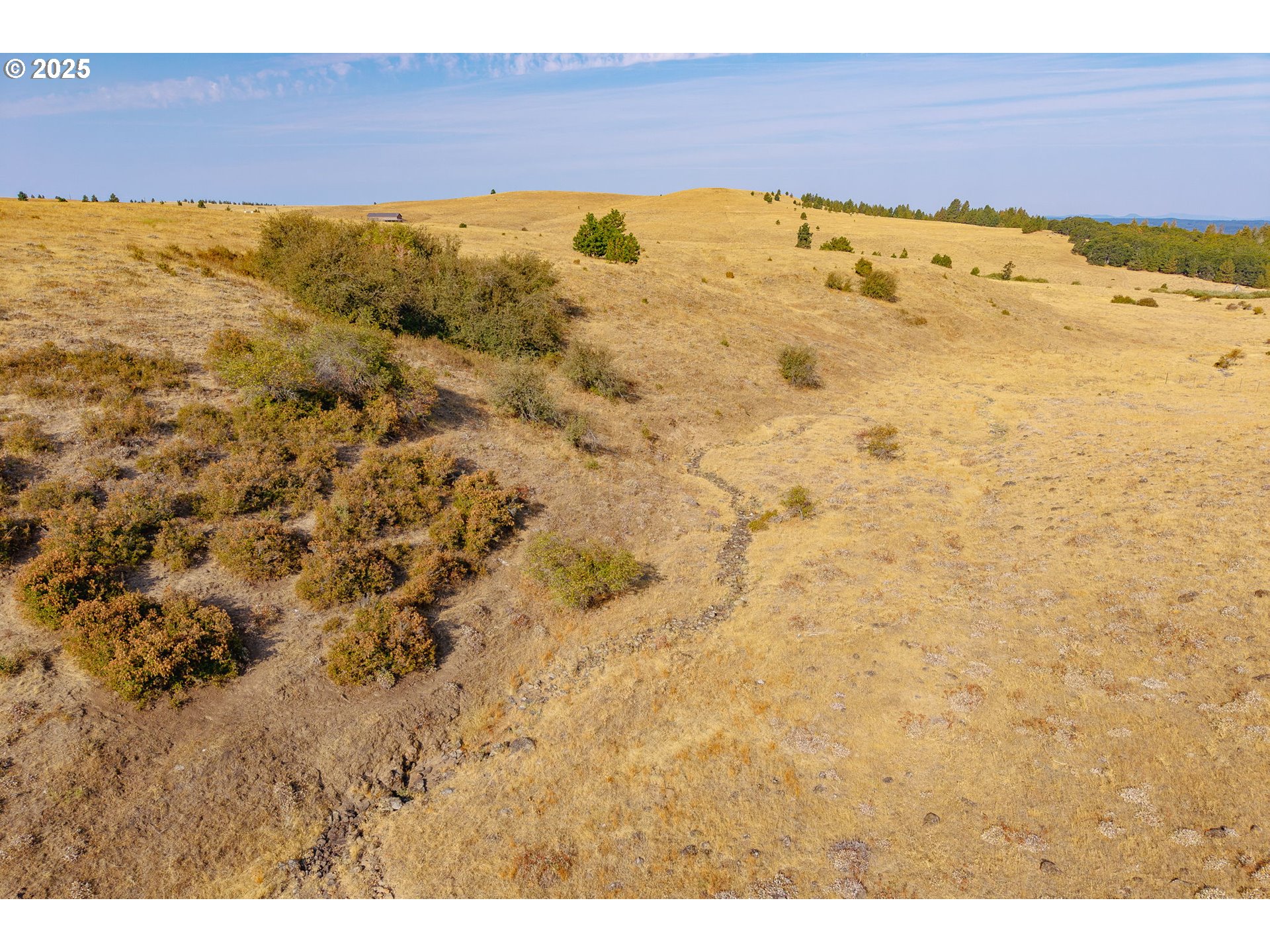 110 Morris Road Lyle, WA 98635 - Photo 44 of 47