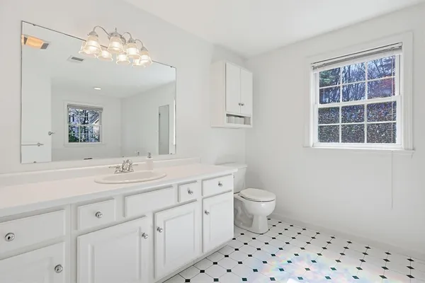 a bathroom with a sink a toilet and a mirror