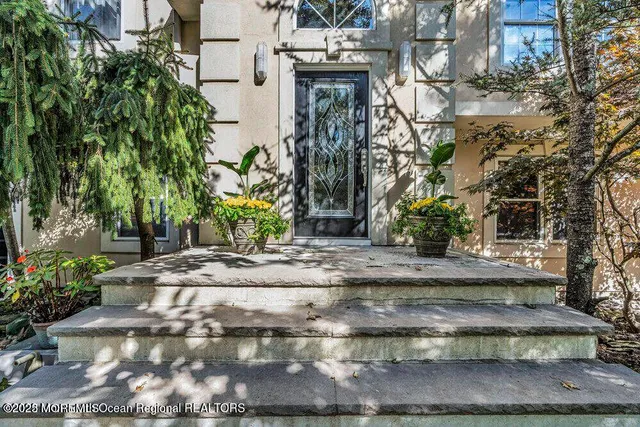 a view of a yard and tree s