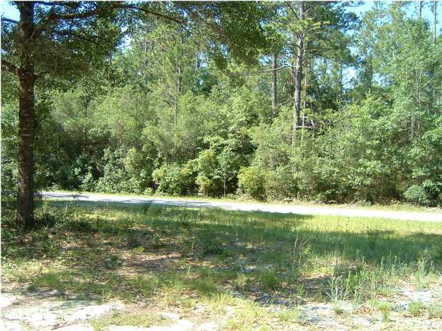 6151 Donald Guy Road Crestview, FL 32539 - Photo 2 of 24 a view of a lake with a yard