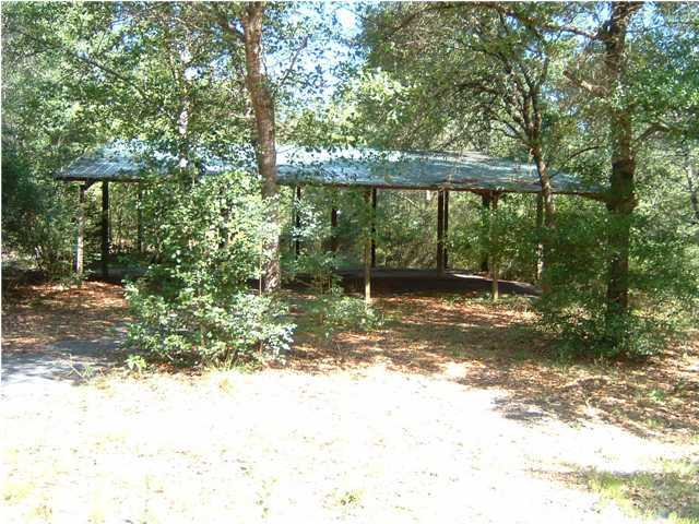 6151 Donald Guy Road Crestview, FL 32539 - Photo 5 of 24 a view of a yard with a tree