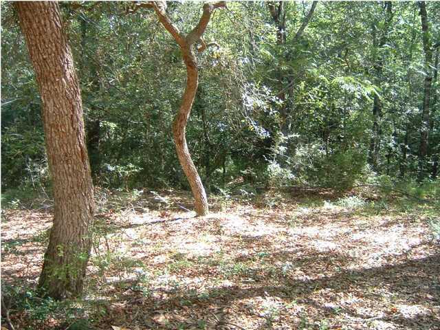 6151 Donald Guy Road Crestview, FL 32539 - Photo 9 of 24 a view of a yard with a tree