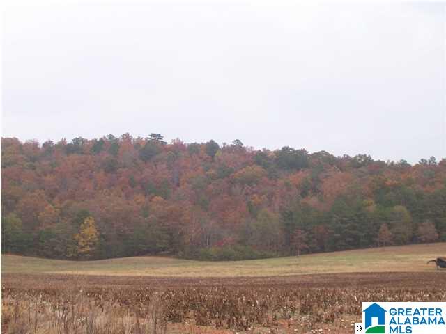 151 Hawk Pass Anniston, AL 36207 - Photo 29 of 36