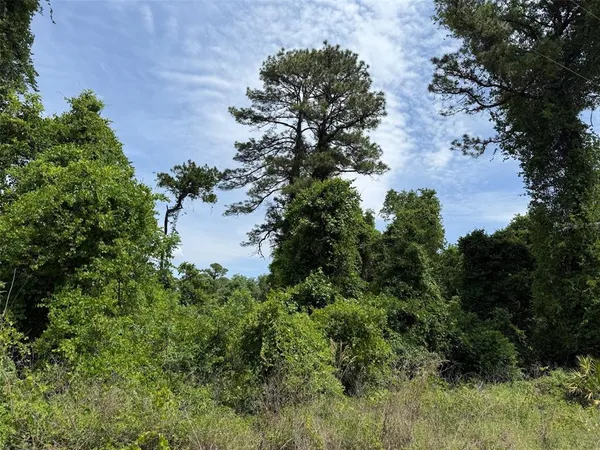 $20,000 | 0 Folklore Drive, Satsuma, FL 32189