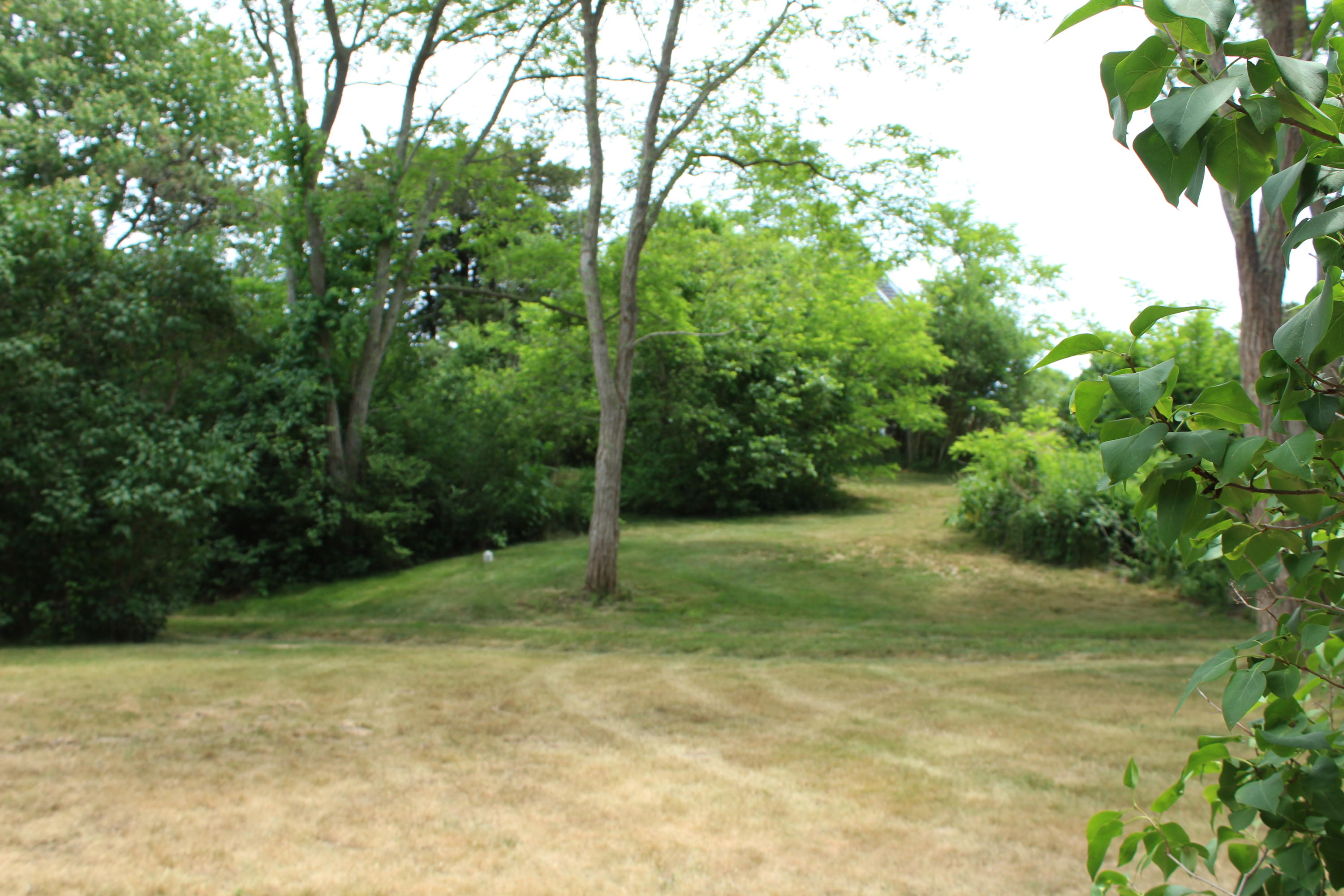 9 Castle Road Truro, MA 02666 - Photo 47 of 65 IMG_4298